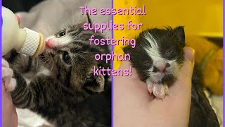 Necessary Supplies for Orphan Kittens // packing for my kittens to go on vacation! by The Kitten Choreographer 178 views 9 months ago 5 minutes, 36 seconds