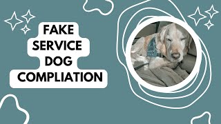 Fake Service Dog Compliation!