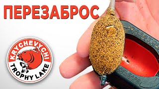 картинка: Как часто ПЕРЕЗАБРАСЫВАТЬ флэт?