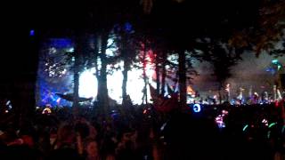 PRETTY LIGHTS Electric Forest 2013