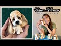 Cómo Hacer PERRO BATATA OREJAS | BASSET HOUND | Erica Ferrari Porcelana Fría | Tutorial Fácil