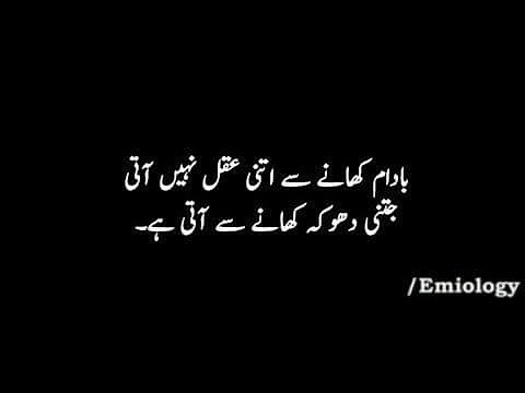 funny-poetry-&-quotes-in-urdu-15