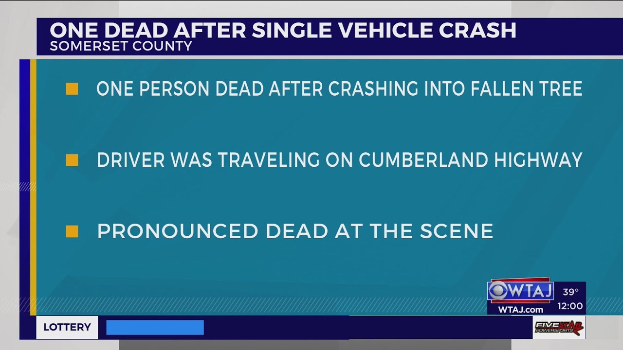 One dead after single-vehicle crash into fallen tree in Somerset County ...