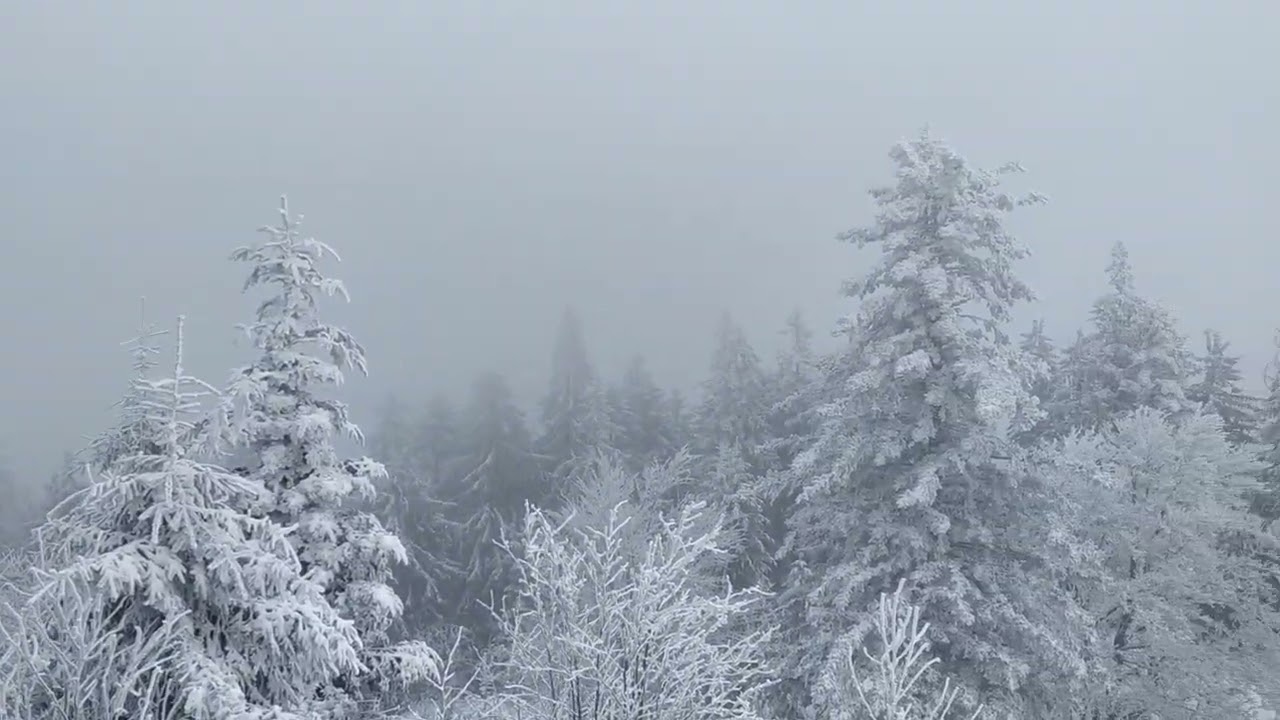 Großer Riedelstein, Waldschmied, Kötztinger Hütte, Bayerischer Wald