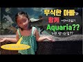 말레이시아 쿠알라룸푸르 수족관에서 생긴일(Feat.Dumb&Dumber)