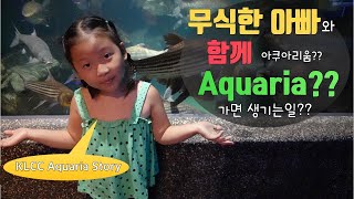 말레이시아 쿠알라룸푸르 수족관에서 생긴일(Feat.Dumb&Dumber)