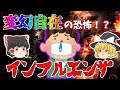 【ゆっくり解説】インフルエンザはなぜ恐い？A型とB型の違いとは？【医学】