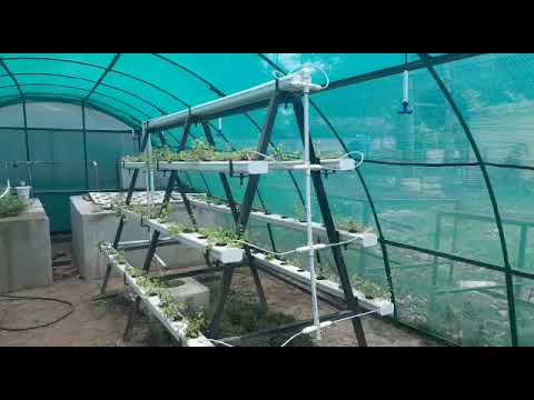 Foldable hydroponic structure for vegetable cultivation