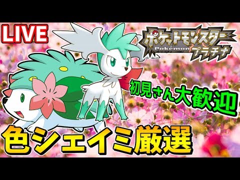 確率1 8192 幻のひかえめな色違いシェイミを厳選します 2周目1001 ポケモンpt プラチナ Shiny Shaymin Youtube 確率1 8192 幻のひかえめな色違いシェイミを厳選します 2周目1001 ポケモンpt プラチナ Shiny Shaymin Youtube