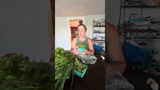 Fall CSA week 2 2024