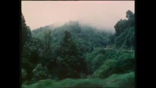 Prince Tui Teka - a beautiful waiata chords