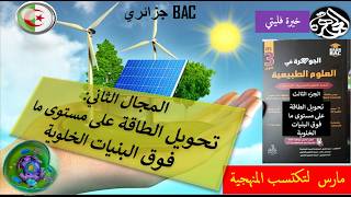 مدخل إلى المجال الثاني
