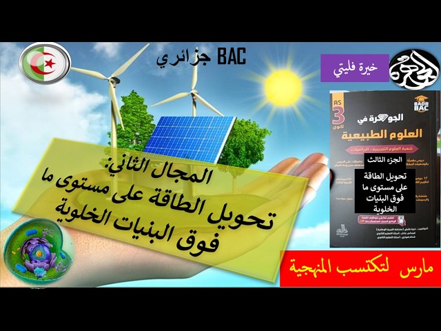 دروس على شكل وضعيات-  مشكلة في التركيب الضوئي