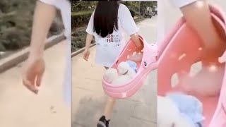 Most Famous Pomeranian Tiktok Compilation 2022 Cute Dogs