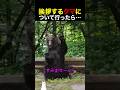 挨拶するクマについて行ったら…