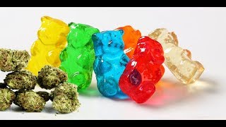 Getting Gummy with Paracanna at Cannacon w/ Scojo The Herb Advisor