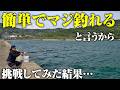 エサ釣り初心者が大満足の爆釣劇。この釣り方はガチで間違いないです。
