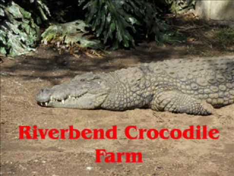 Riverbend Crocodile Farm