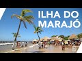 Ilha do Marajó, Pará Ep 3 | Dicas de Viagem LTS