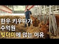 한우 귀농하기 전에 이 영상 꼭 보세요 (축사 신축/매매에 대해)