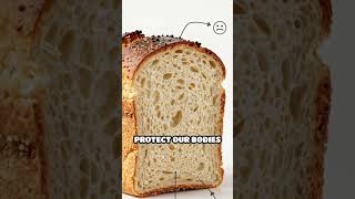 Bread Crusts: The Hidden Superfood?