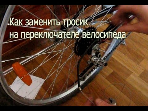 Бесплатное порно видео для взрх
