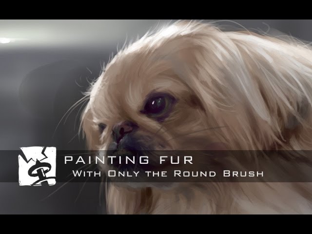 round dog brush