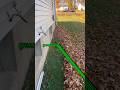 Leaf Cleanup #ego #egopowerplus #leafblower #leafcleanup #lawnmowingbusiness #lawncare #fallcleanup