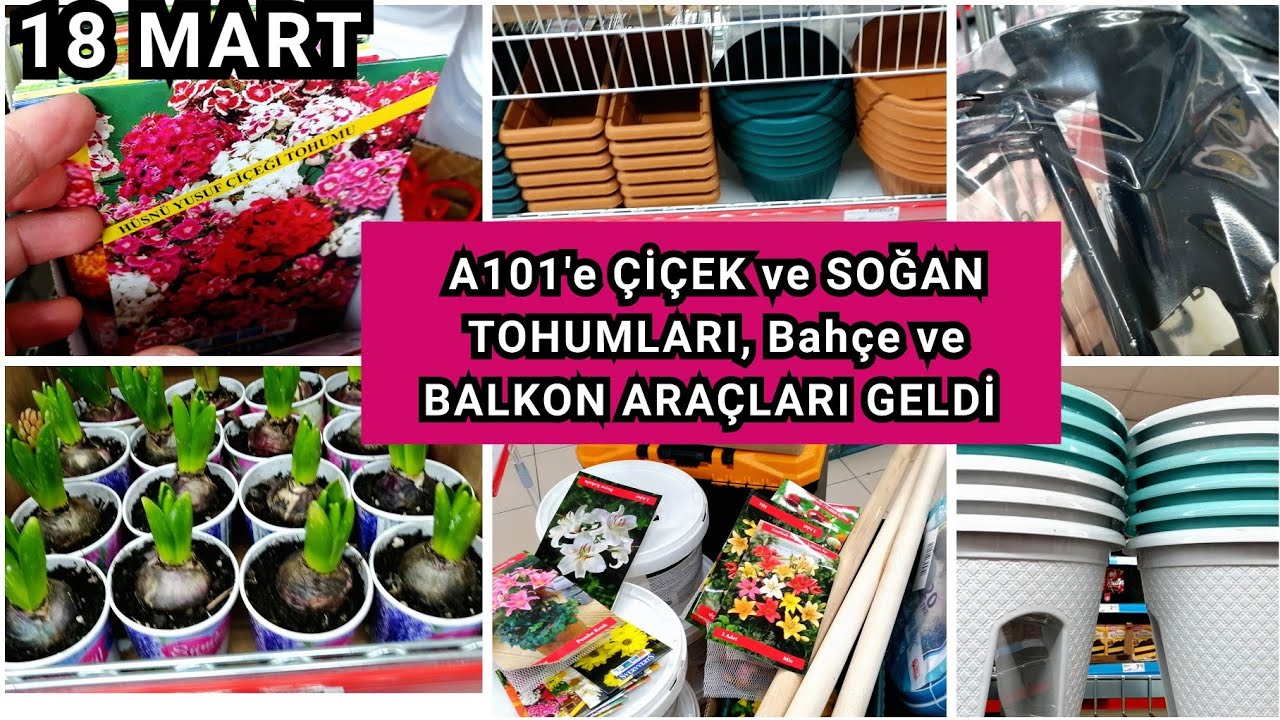 A101'e BUGÜN ÇİÇEK TOHUMLARI, ÇİÇEK SOĞANLARI, BAHÇE, BALKON ARAÇLARI GELDİ. Çiçek Tohumları ALDIM.