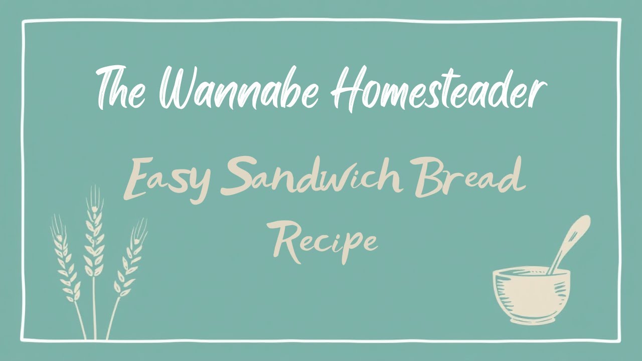 My staple sandwich bread  recipe using fresh milled flour and AP flour!