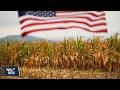 Iran War Sends Shockwaves From Energy Markets to Global Food Supply