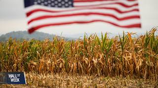 Iran War Sends Shockwaves From Energy Markets to Global Food Supply