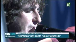 Pájaro   Las criaturas 2 Más que noticias, Canal Sur 16 julio 2014