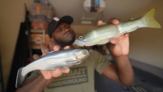 When You Should Throw A Hard Bait Or A Soft Bait! screenshot 5