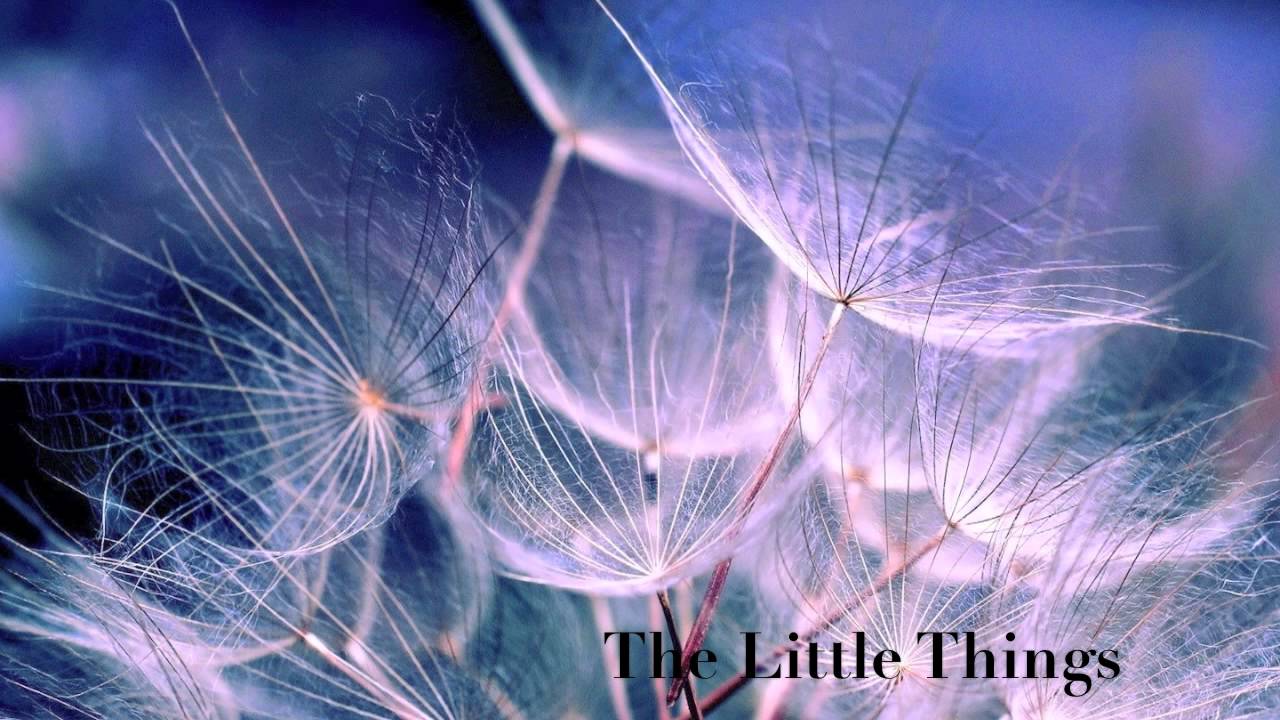 The Little Things - YouTube