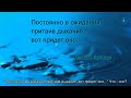 Каббалистический хайку "Из этого тела надо улетать"