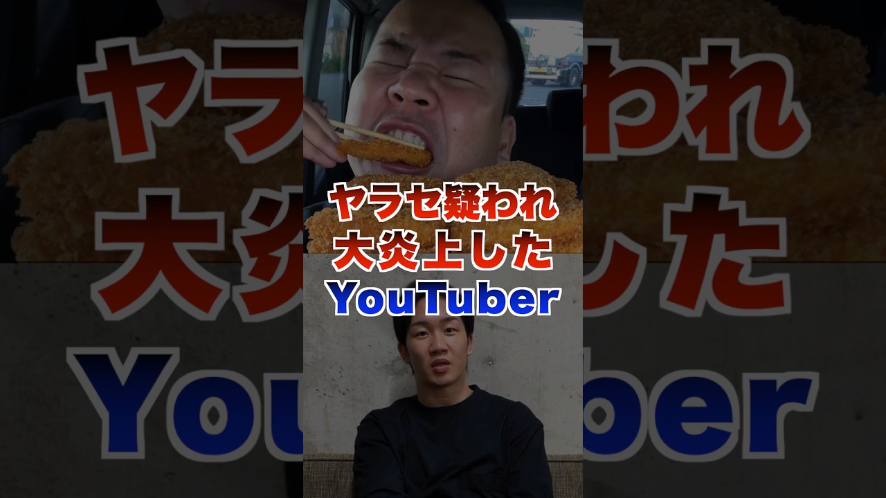 ヤラセだと疑われて炎上したYouTuber #youtuber #ヒカキン
