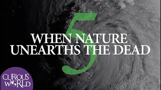 When Nature Unearths the Dead V by Curious World 85,899 views 1 year ago 24 minutes