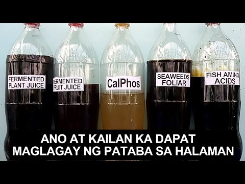 Video: Kailan Magpapataba sa Hardin - Payo sa Spring Fertilizer Para sa Mga Hardin At Bakuran