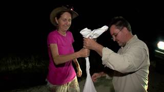 "Girl's Night Out" - Hunting the Burmese Python in the Florida Everglades