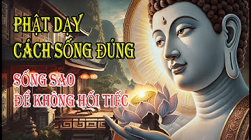 Thế Nào Là Một Đời Không Hối Tiếc _ Phật Dạy Cách Sống Đúng/ Kể Truyện Đạo