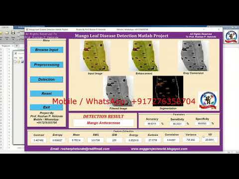 Mango Leaf Disease Detection Using CNN Convolutional Neural Network | Mango Plant Disease Detection
