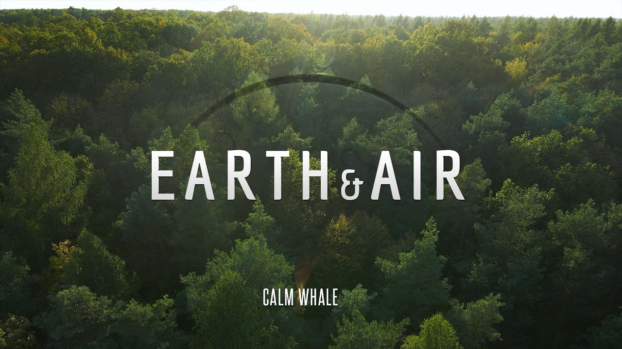 EARTH & AIR - Shaman Drum ROOT Chakra Meditation - Grounding to Pachamama | Calm Whale EARTH & AIR - Shaman Drum ROOT Chakra Meditation - Grounding to Pachamama | Calm Whale