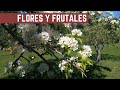 Que Flores Conviene Poner en Nuestra Huerta - Frutales en Flor: Anuncio de Primavera