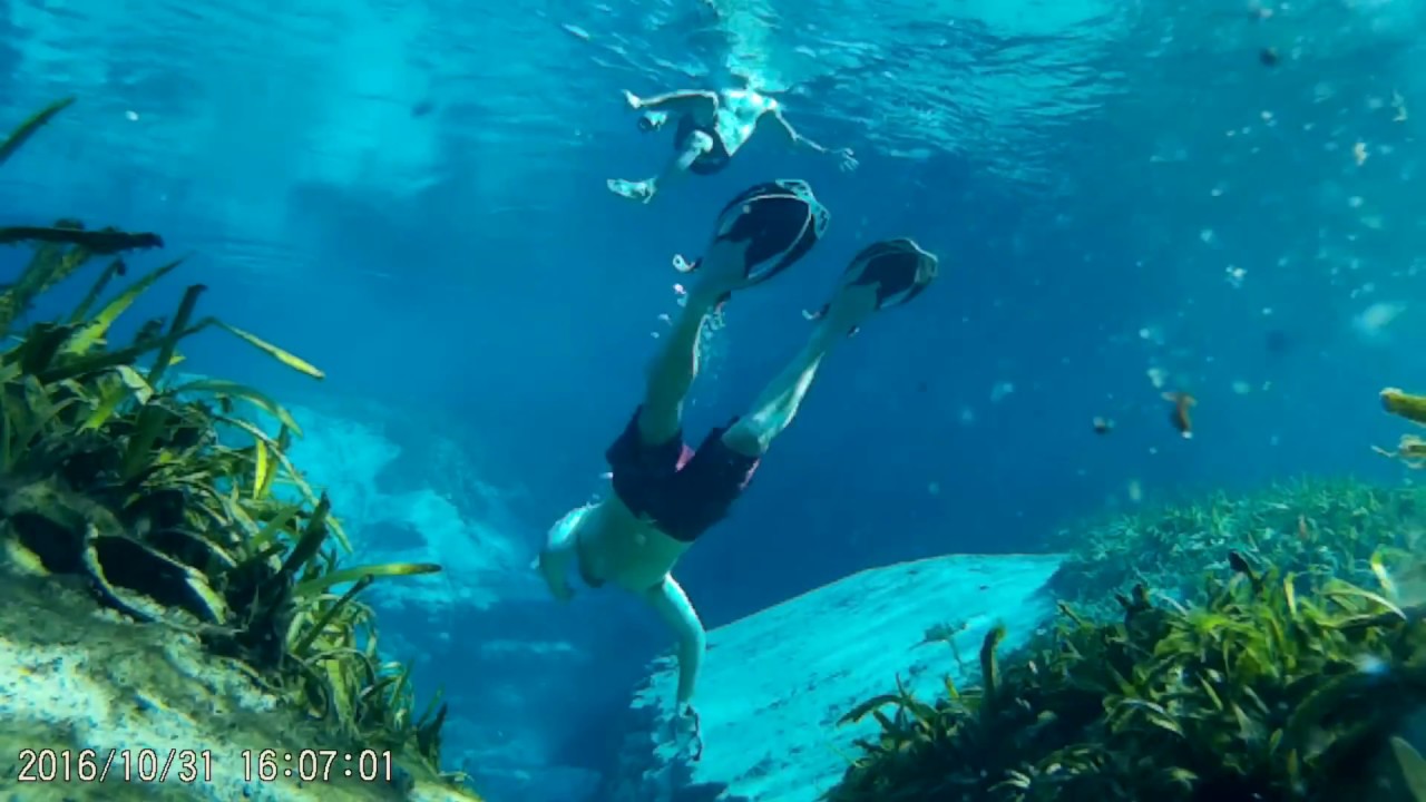 Alexander springs, Florida (snorkeling) YouTube