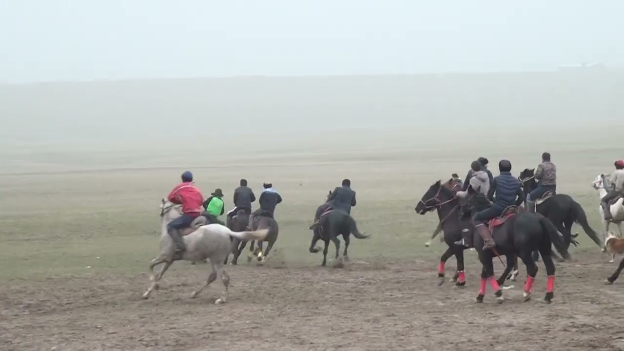 Буртаевтар әулеті Ақан ағамыздың елдің бата алу көкпары. Салыбек ата атшабарында хит көкпар ✊