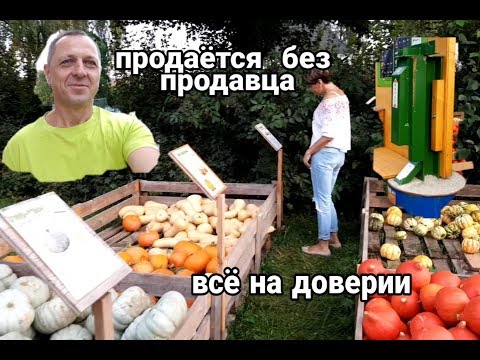 Видео: Как можете да си купите кола в Германия