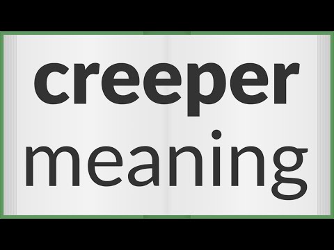 Creeper  meaning of Creeper 