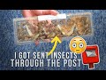 Unboxing & Setting Up Feeder Insects I Got Through The Post