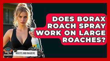 Does Borax Roach Spray Work On Large Roaches? - Insects and Invaders